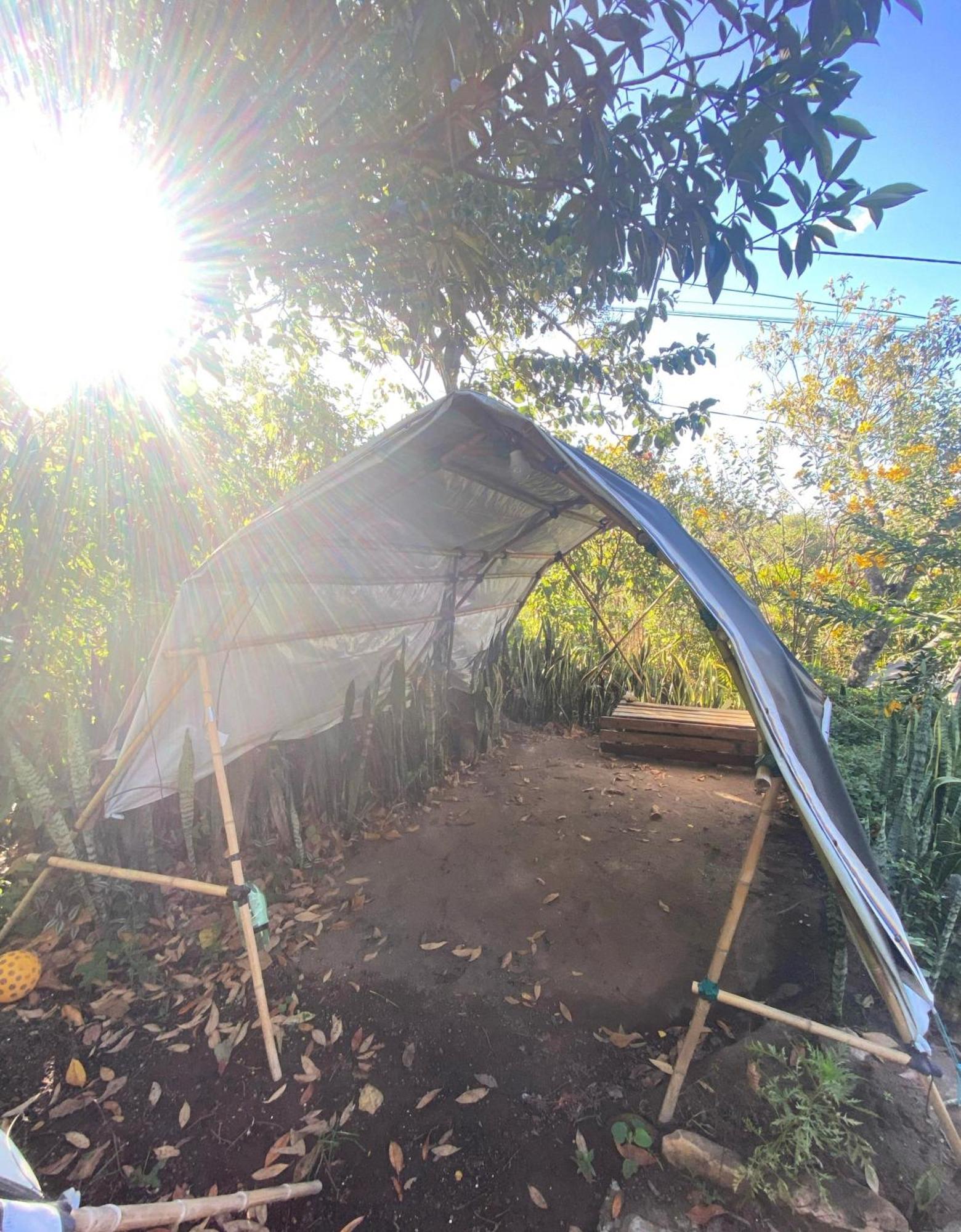 Camping Filhos Da Floresta - Vale Do Capao Eksteriør billede